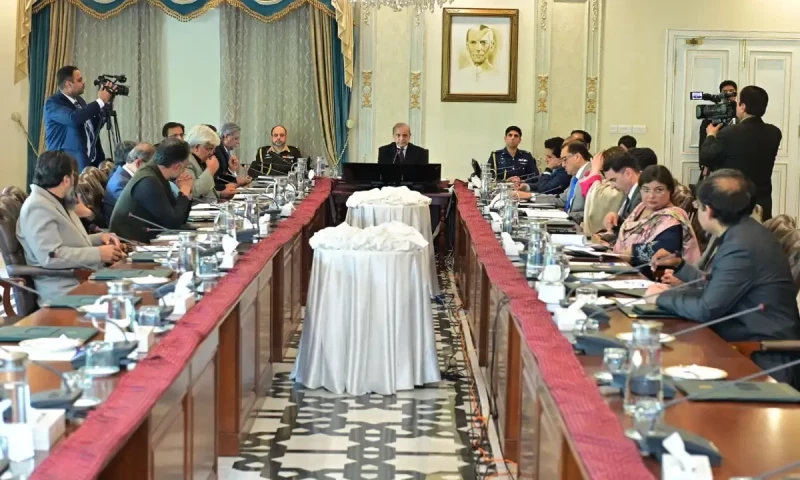 PM Shehbaz questions capacity payments by public power companies