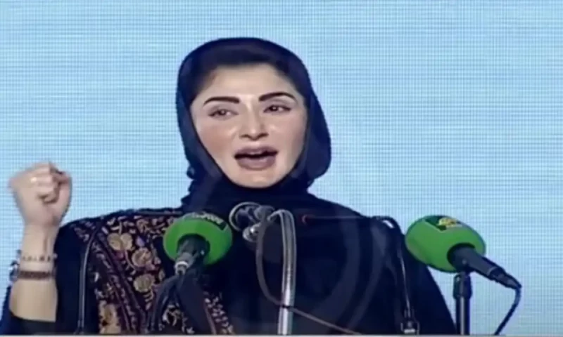 Punjab to build Pakistan&rsquo;s first AI univeristy, says CM Maryam