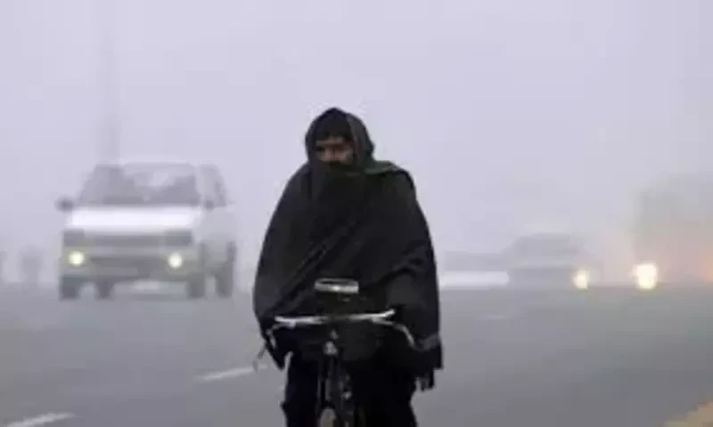 Severe cold wave impacts nationwide