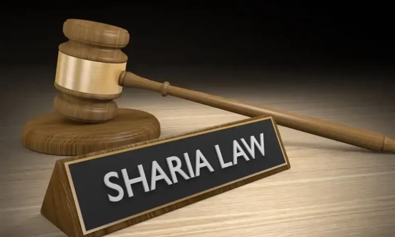 Pakistani ulema issue Fatwa against illegal overseas travel