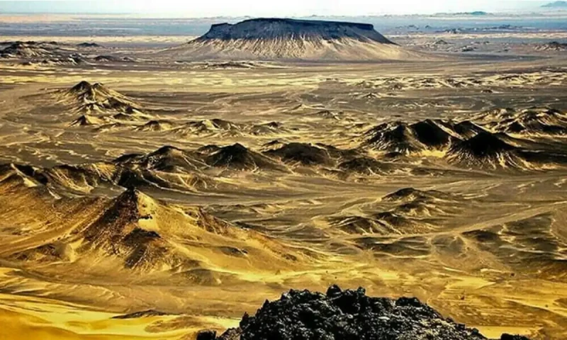 Reko Diq mine to generate $74 billion in free cash flow over 37 years, Barrick CEO says