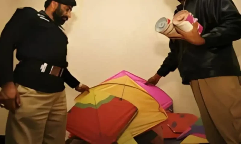 Punjab Assembly proposes kite flying be declared non-bailable offence