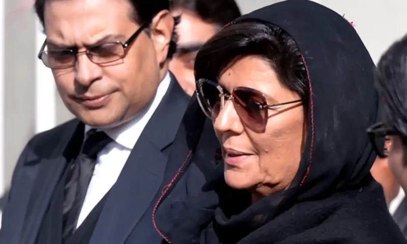 PTI members advise Aleema to take over party