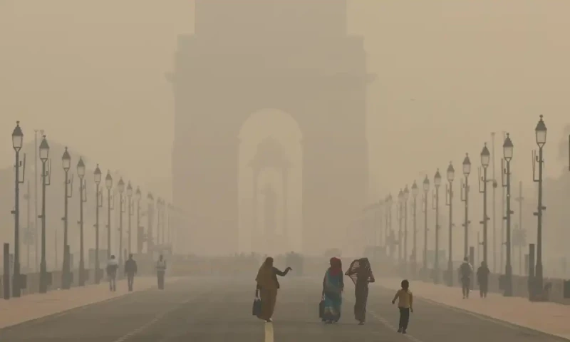Flight disruptions in Delhi due to fog; cold wave persists across North India