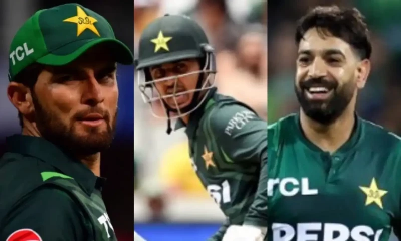 Saim, Rauf, Shaheen make it ICC ODI Team of the Year 2024