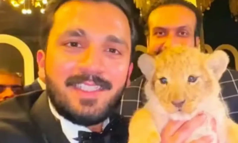 TikToker Rajab Butt sentenced to community service for illegally possessing lion cub