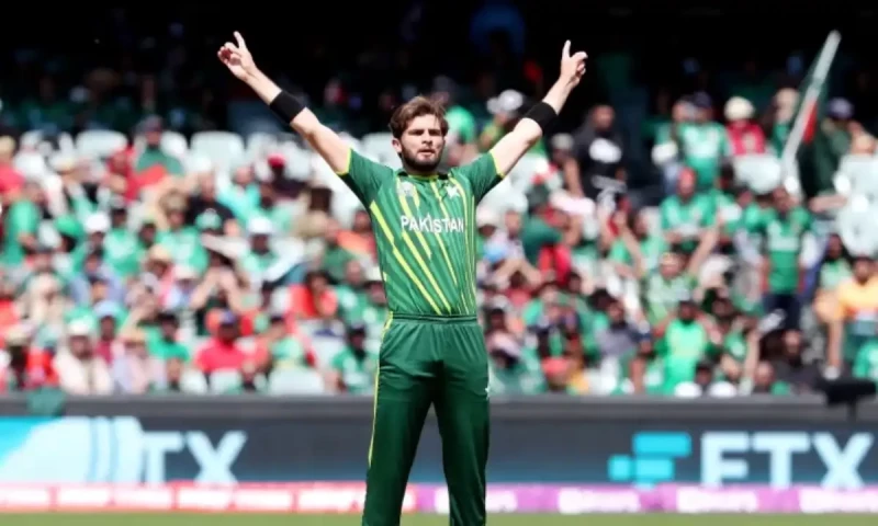 ICC names three Pakistanis in ODI team of 2024