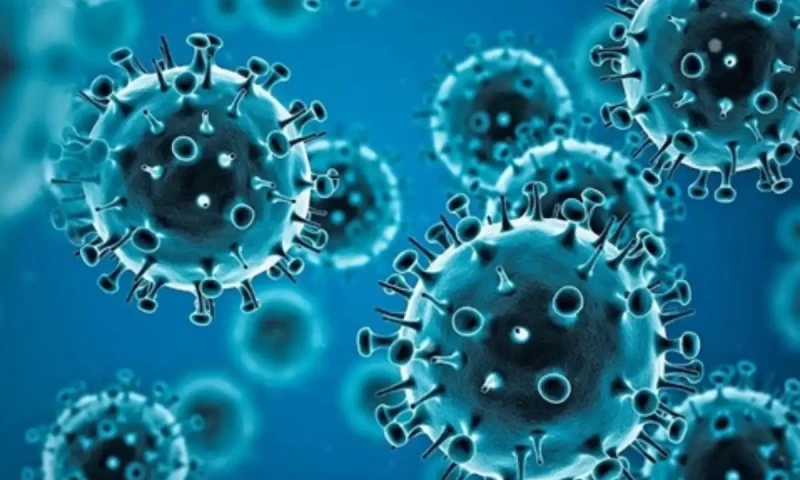 CIA says Covid &lsquo;more likely&rsquo; to have leaked from lab