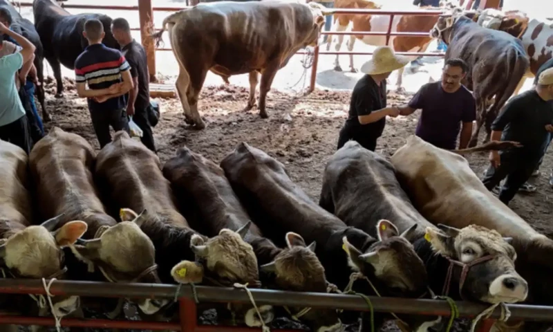 China bans meat imports from Pakistan, Afghanistan and other nations over disease worries