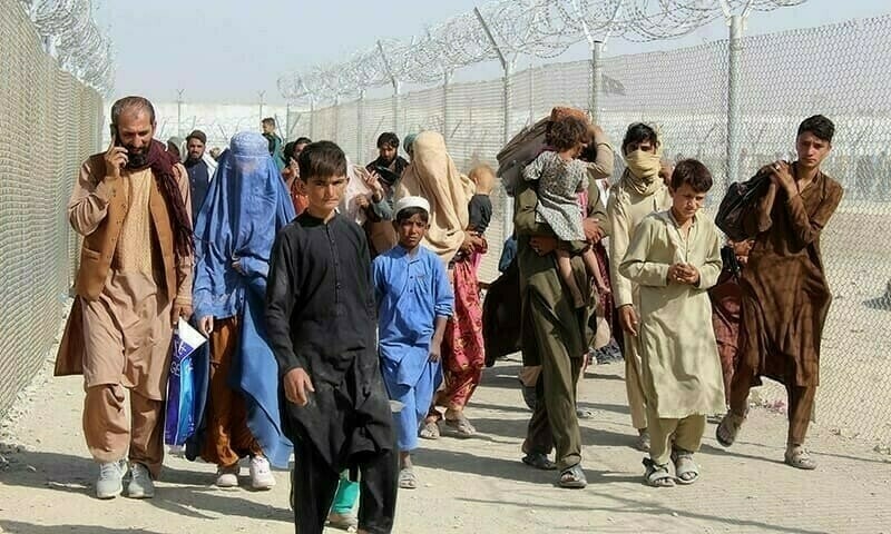 1.4 mln registered and 0.7 mln unregistered Afghan refugees still in Pak, Senate body told