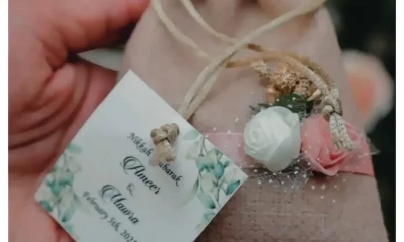 First video of Mawra Hocane and Ameer Gilani&rsquo;s nikah ceremony surfaces online