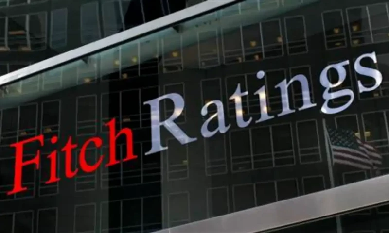 Securing sufficient external financing remains challenge for Pakistan: Fitch