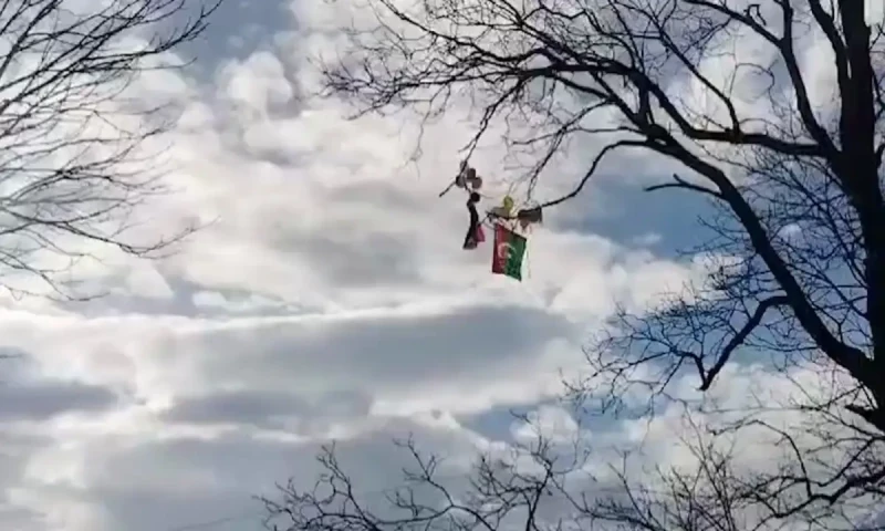 Indian police seize PTI flags and balloons that drifted in IIOJK