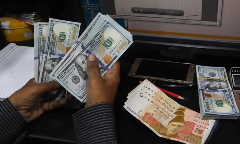Workers&rsquo; remittances increase by 31.7% to $20.8b in July to January