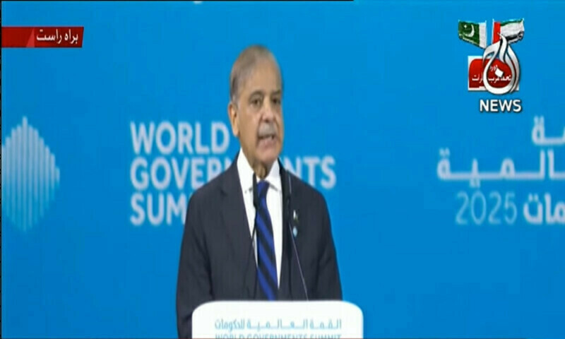 Shehbaz calls for independent Palestinian state with pre-1967 borders