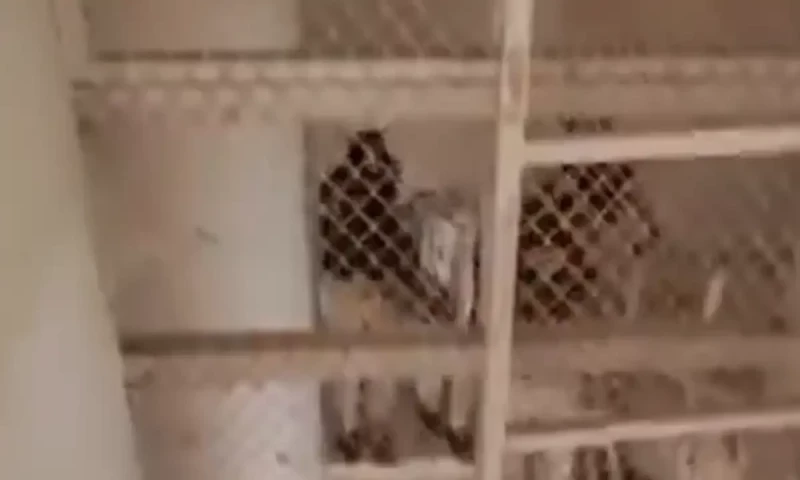 Victim, suspect in Mustafa murder case were childhood friends: interrogation report