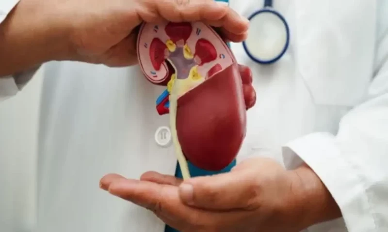 Punjab govt launches free transplant programme for citizens