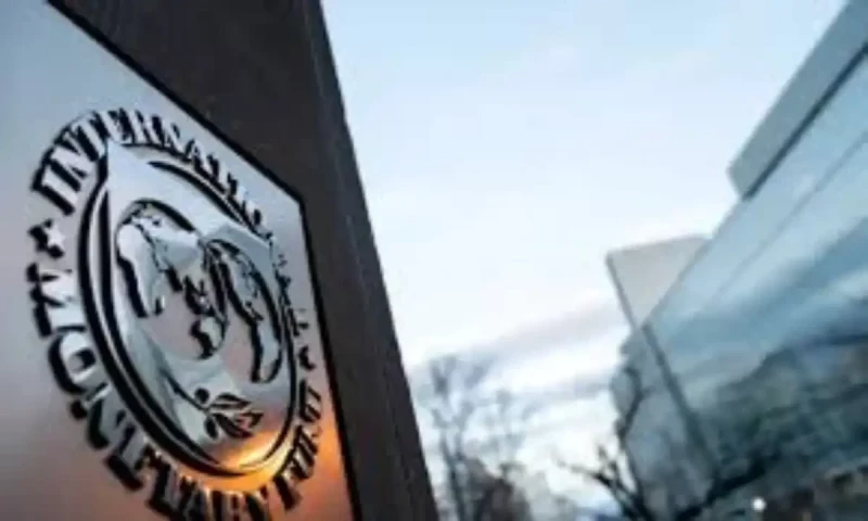 IMF suggests Pakistan halt new construction near forests and waterways