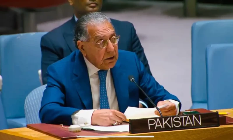 Pakistan calls for reform, transparency in UN Security Council&rsquo;s subsidiary bodies