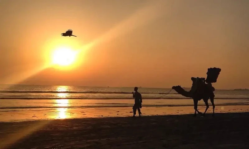 Karachi weather update: Temperature to rise next week, hitting 35&deg;C