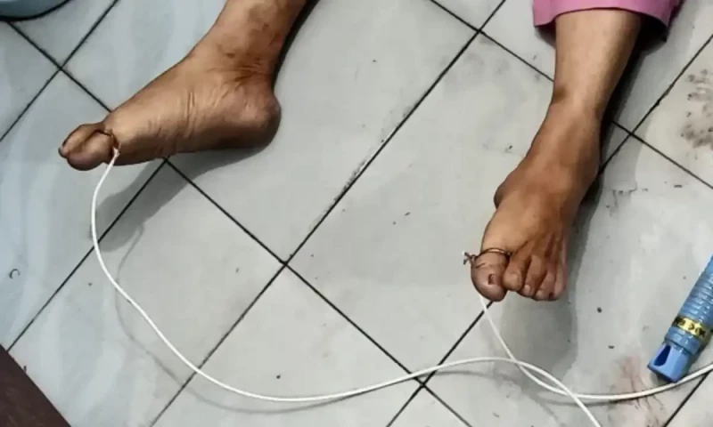 Painter kills widow for mobile phone in Lahore