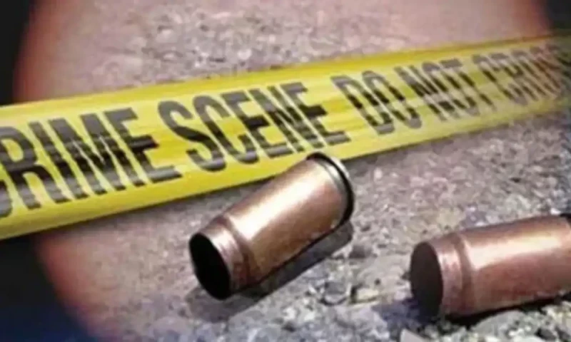 Two police officers martyred in Bajaur shooting