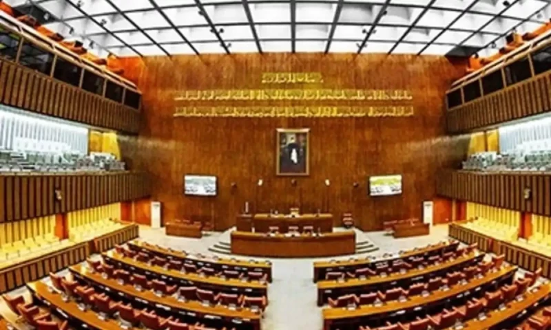 Punjab passes resolution to establish its &lsquo;National Assembly and Senate&rsquo;