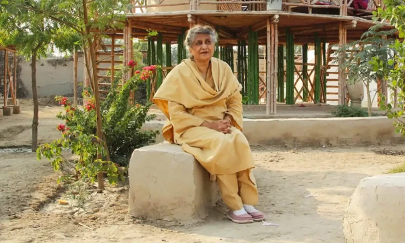 Pakistani architect Yasmeen Lari declines Israeli art award over Gaza crisis