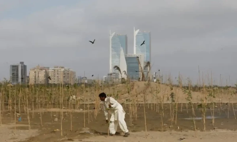 Karachi to experience drop in temperatures over next three days