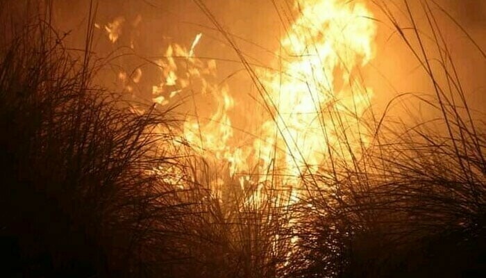 Barkhan: Fire in Koh Jandran forests rages on after 36 hours