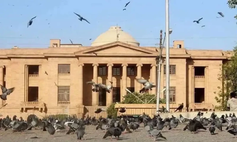 SHC postpones hearing on PECA Amendment Act challenge due to lawyer&rsquo;s Supreme Court commitment