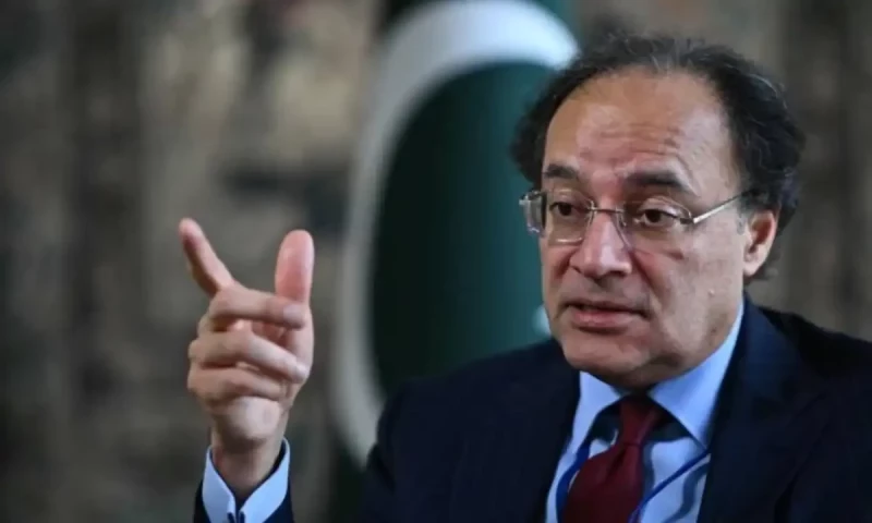 Pakistan to launch climate fund as finance minister warns of economic risks