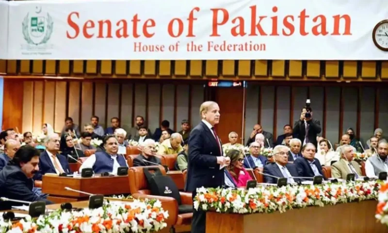 Senate faces turbulent year amid protests, approves 47 bills, 18 resolutions
