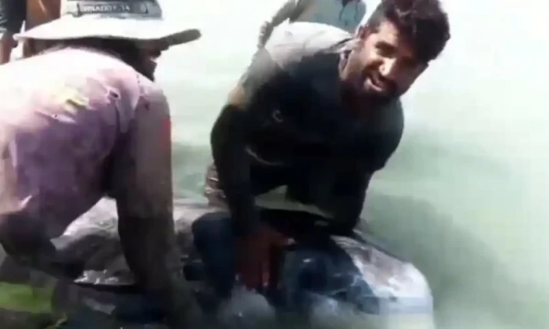 Fishermen rescues Risso&rsquo;s Dolphin on Balochistan&rsquo;s Ormara beach