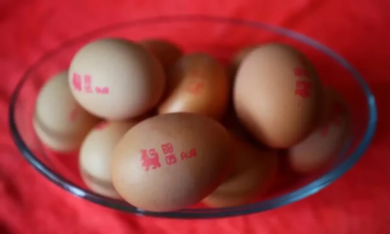 Why many countries enforce expiry dates on eggs &mdash; and how to check freshness at home