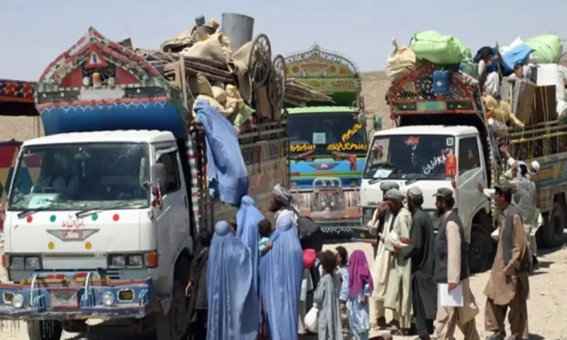 Repatriation of Afghan national gains momentum as deadline for illegal residents passes