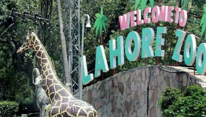 Controversy over Lahore Zoo ticket prices during Eid