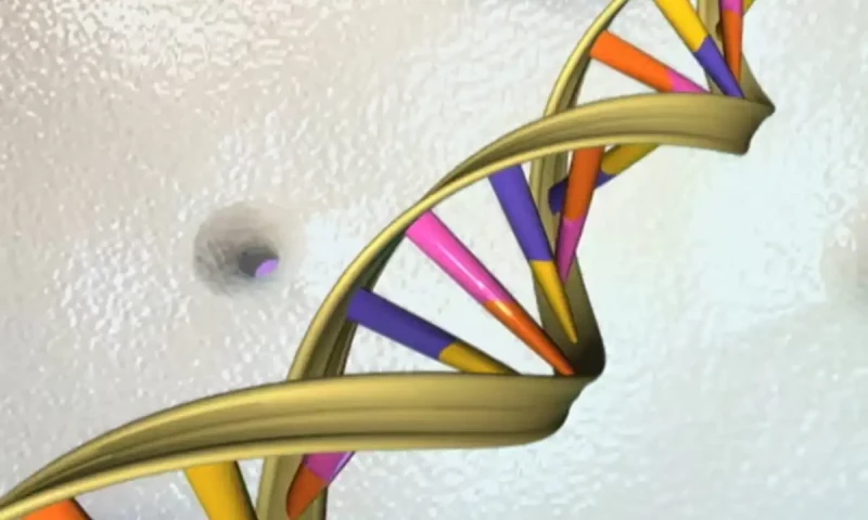 Groundbreaking discovery unveils new inheritance mechanism beyond DNA, RNA