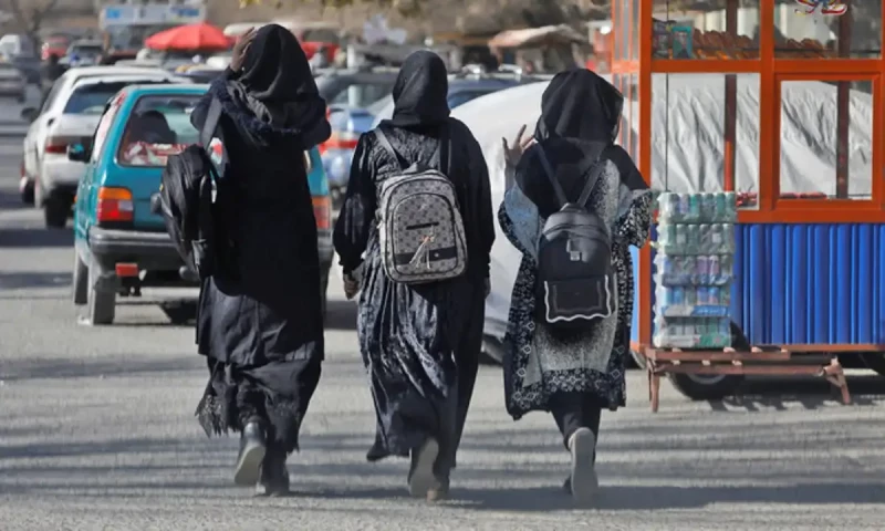 KP govt launches free transport service for female students