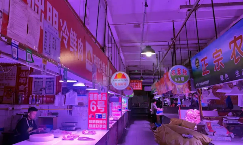 China&rsquo;s murky bankruptcies expose hazards for foreign investors