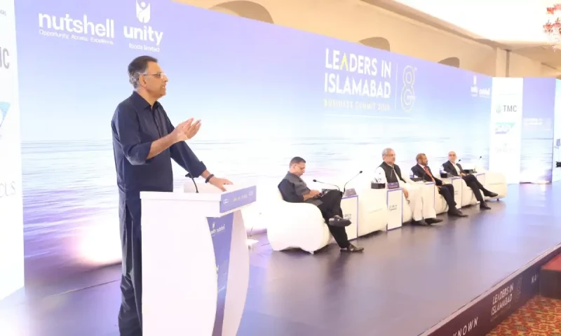 Political unity, institutional harmony essential for economic revival: Asad Umar