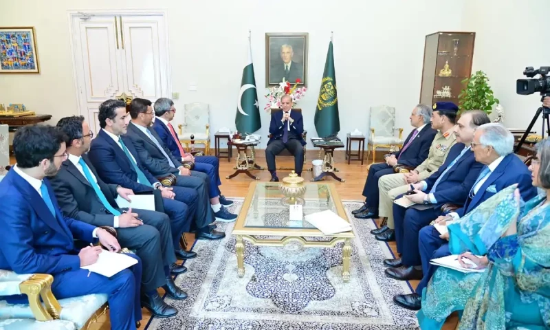 UAE deputy PM calls on Shehbaz, COAS also attends the meeting