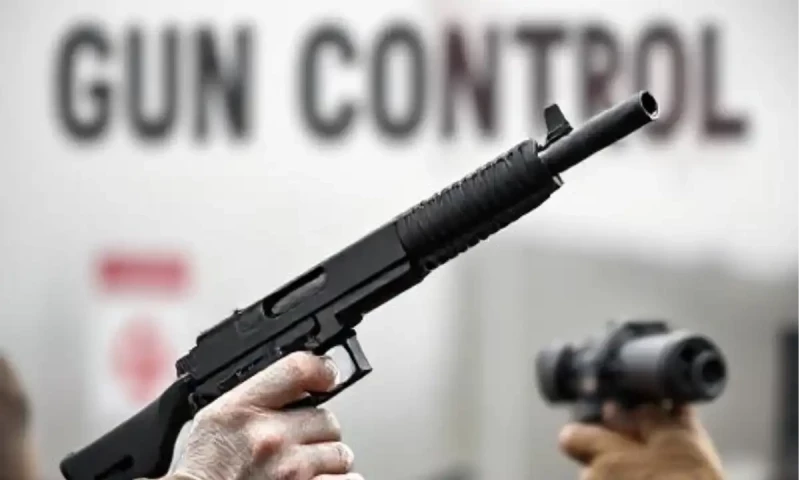 Punjab amends Arms Ordinance 1965; Legalize gun clubs