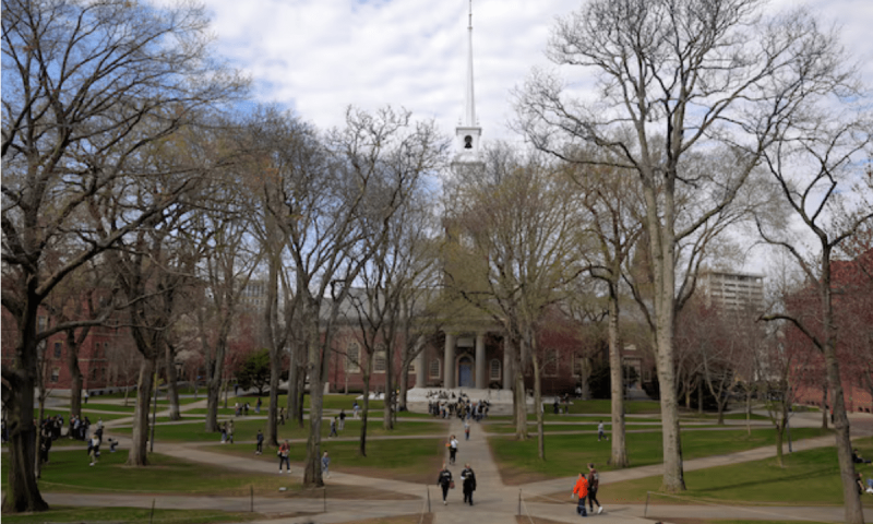 Trump administration to restore foreign students&rsquo; legal status, for now