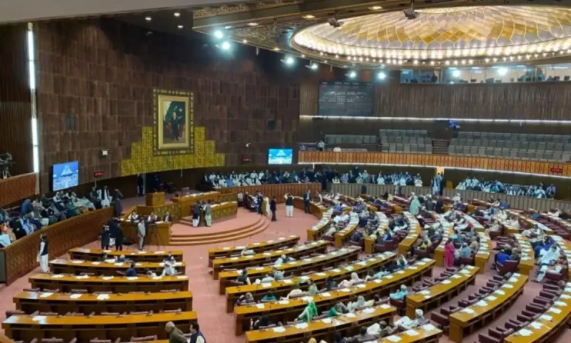 Twelve private members&rsquo; bills referred to committees for further review