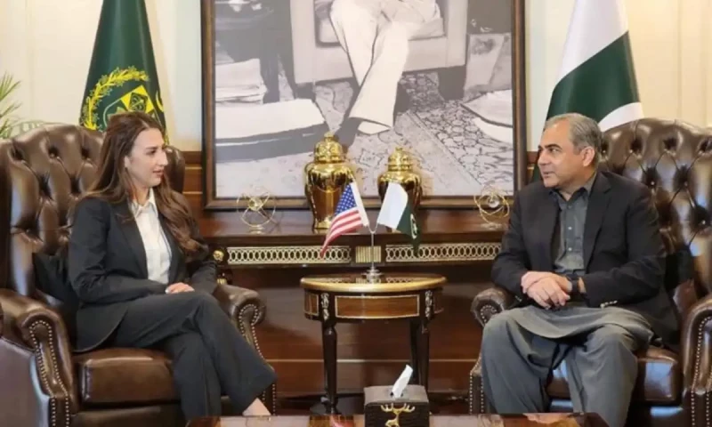 Mohsin Naqvi meets US Acting Ambassador Natalie Baker