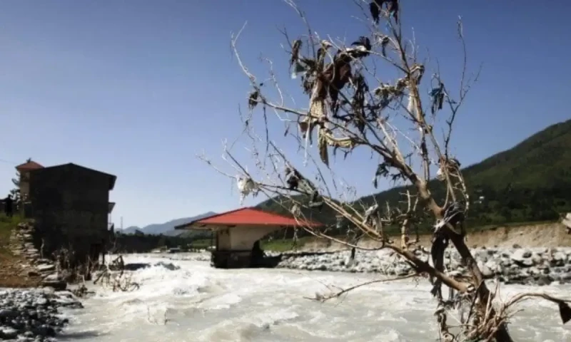 KP govt takes major steps toward clean energy transition