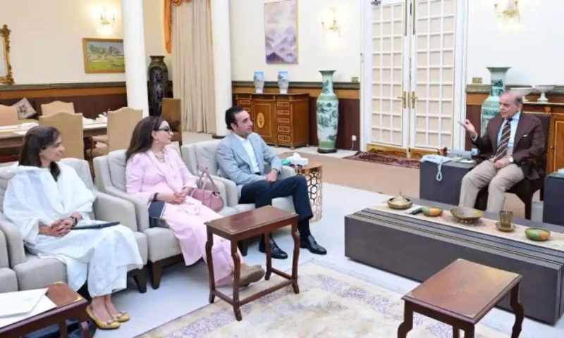 Bilawal Bhutto seeks PM&rsquo;s guidance on highlighting Pakistan&rsquo;s position in important world capitals