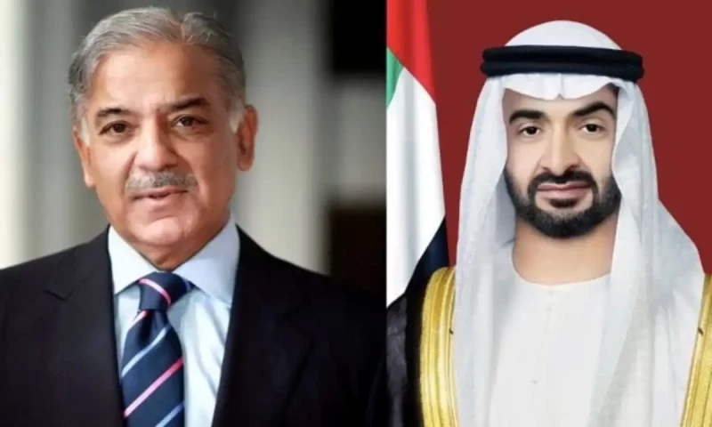 UAE President, Lebanese PM discuss bilateral relations, regional developments
