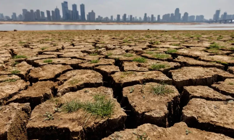 Global temperatures likely to exceed 1.5&deg;C limit over next five years, UN agency warns